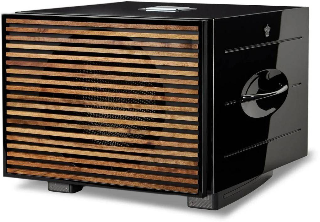 REL Acoustics Carbon Special Black Label 900W 12" Carbon Fibre Active + 12" Carbon Passive Subwoofer